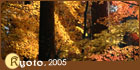 【京都】暖色京都 (2005.11.26-12.04)